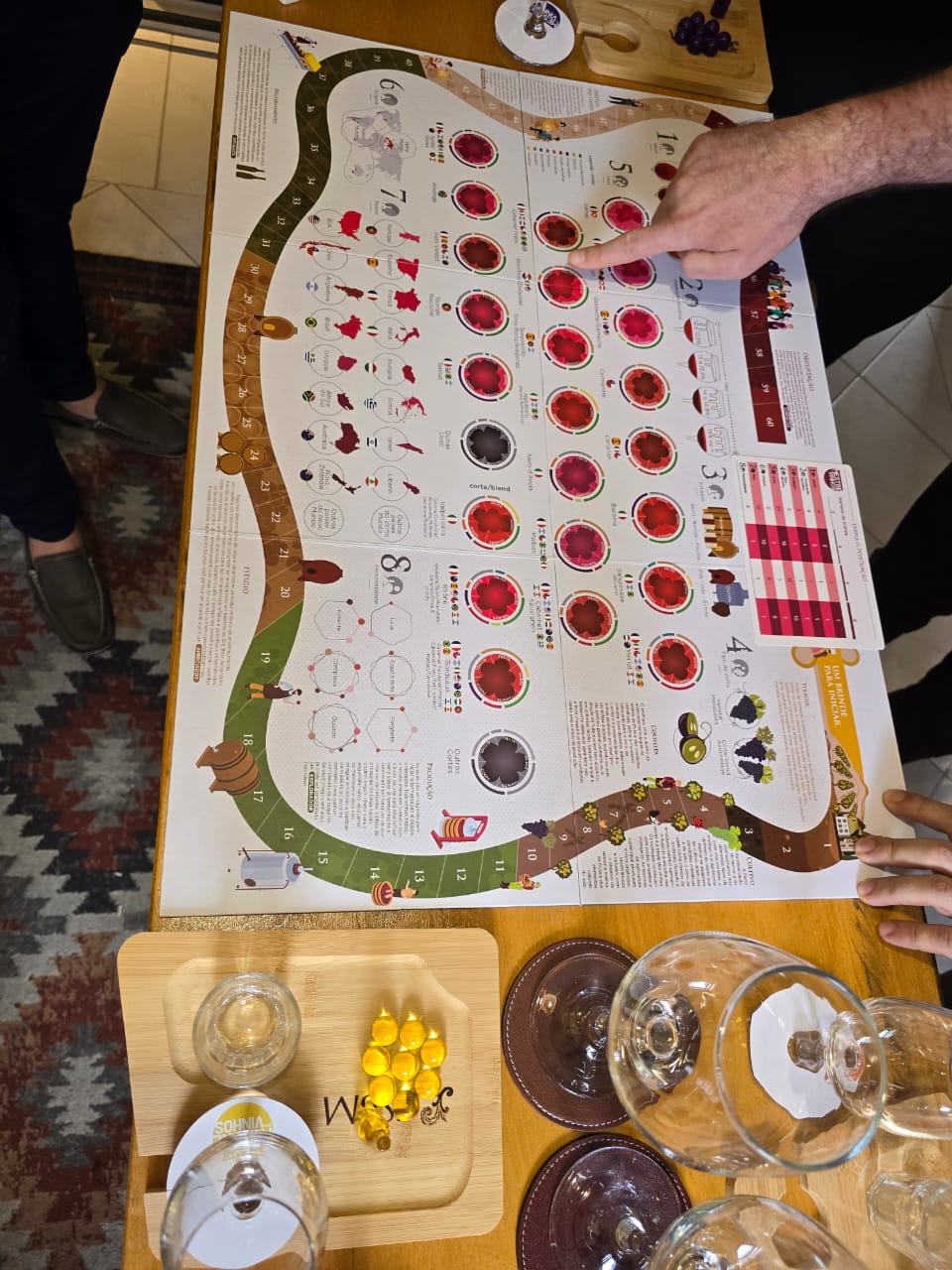 Degustação de Vinhos - Jogo "Mestre dos Vinhos Tintos"