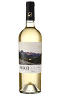 Paisajes de los Andes Classic Sauvignon Blanc 2023