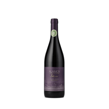 Alamos Selección Pinot Noir 2022 750 ml - Famiglie Sirna Battistella Mercato - Alamos