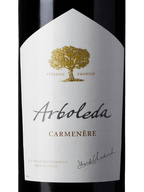 Arboleda Carmenere 2022 - Famiglie Sirna Battistella Mercato - Viña Arboleda