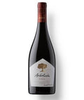 Arboleda Syrah 2021 - Famiglie Sirna Battistella Mercato - Viña Arboleda