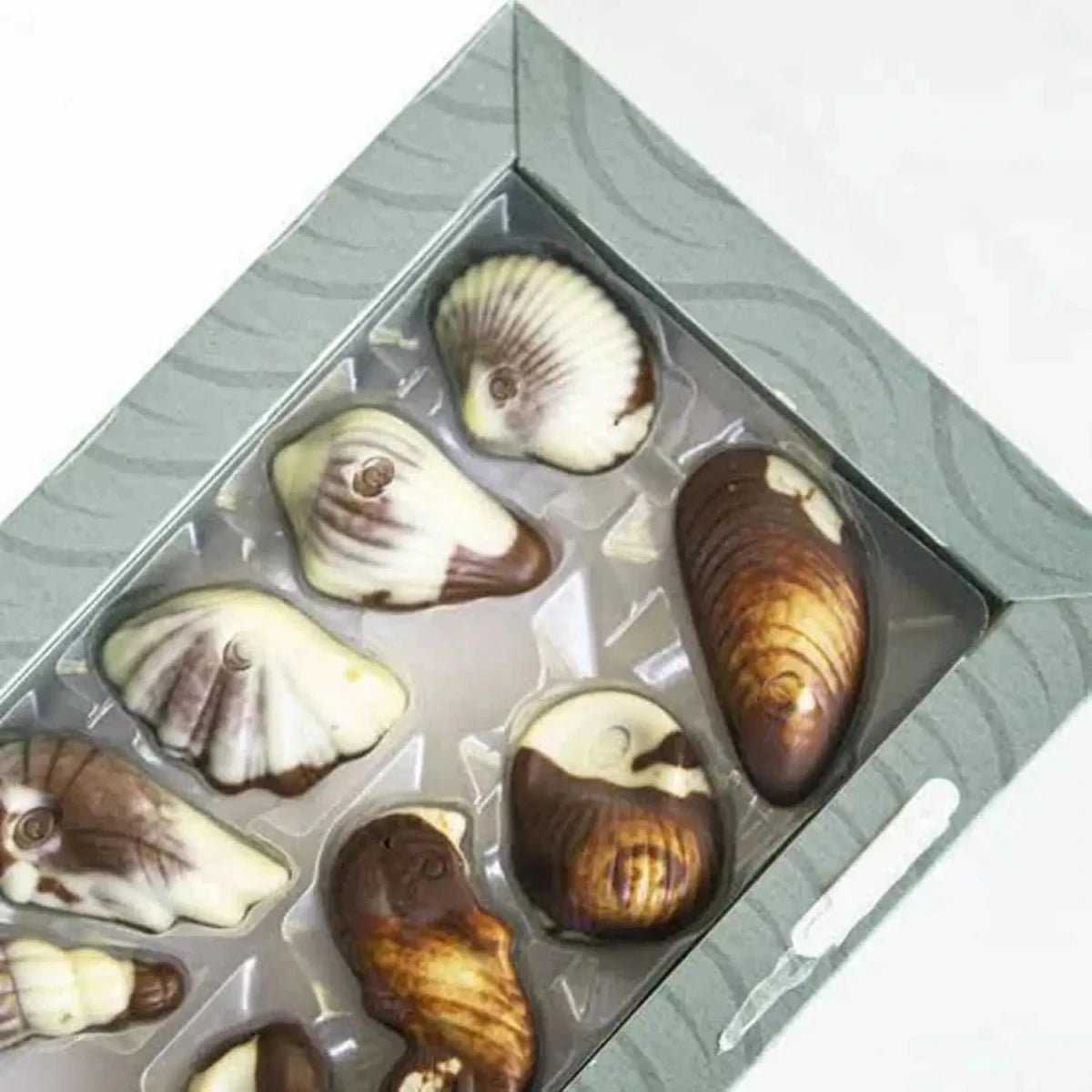 Chocolate Guylian Sea Shells 125g - Famiglie Sirna Battistella Mercato - GUYLIAN