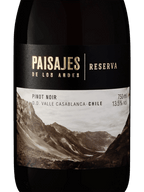 Paisajes de los Andes Gran Reserva Pinot Noir 2023 - Famiglie Sirna Battistella Mercato - Wine&amp;Co